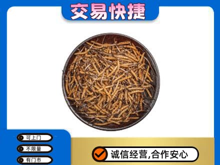 湖州礼品回收虫草.jpg